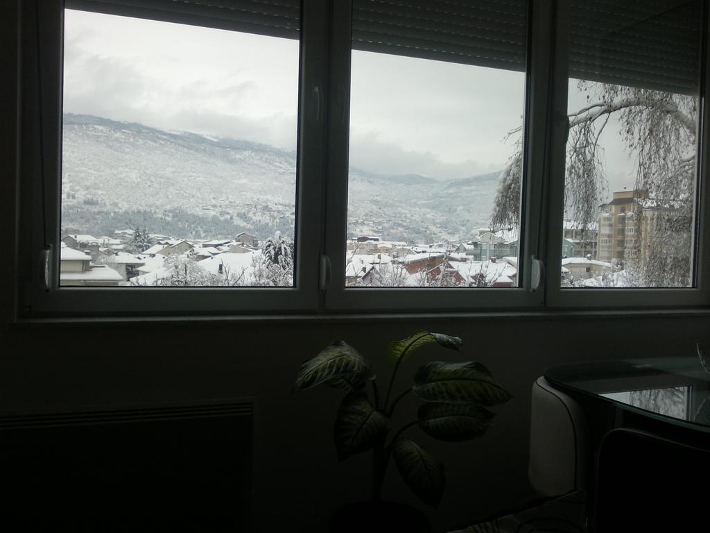 Apartment Goran And Milena Ohrid Rum bild